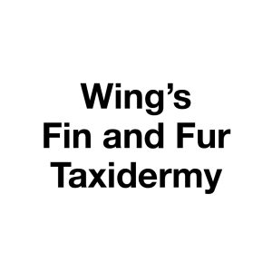 Wing's Fin and Fur Taxidermy